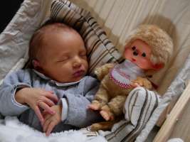 louis